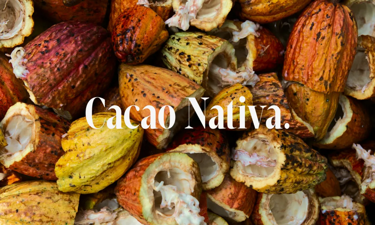Proyecto 1 del portafolio de Agencia Cuatro