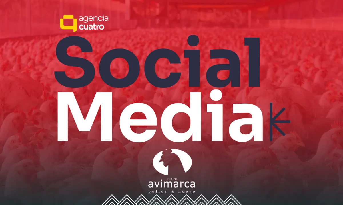 Proyecto 1 del portafolio de Agencia Cuatro